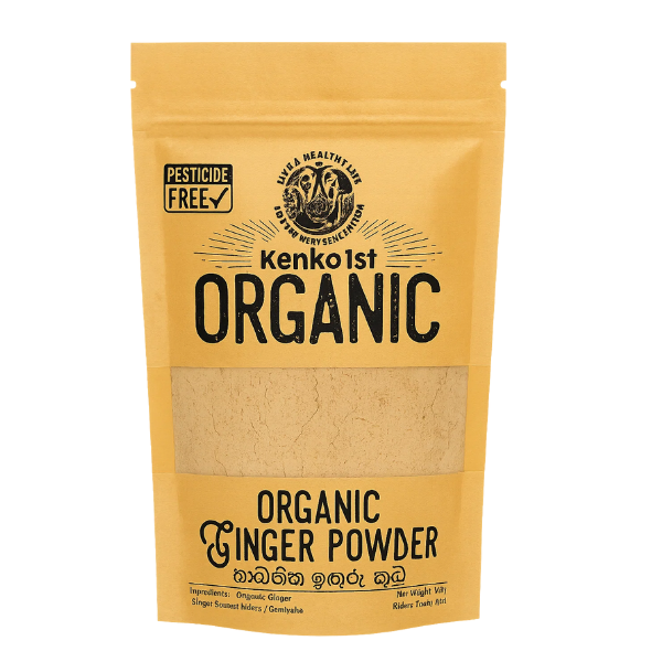 KENKO1ST GINGER POWDER 100G PACK