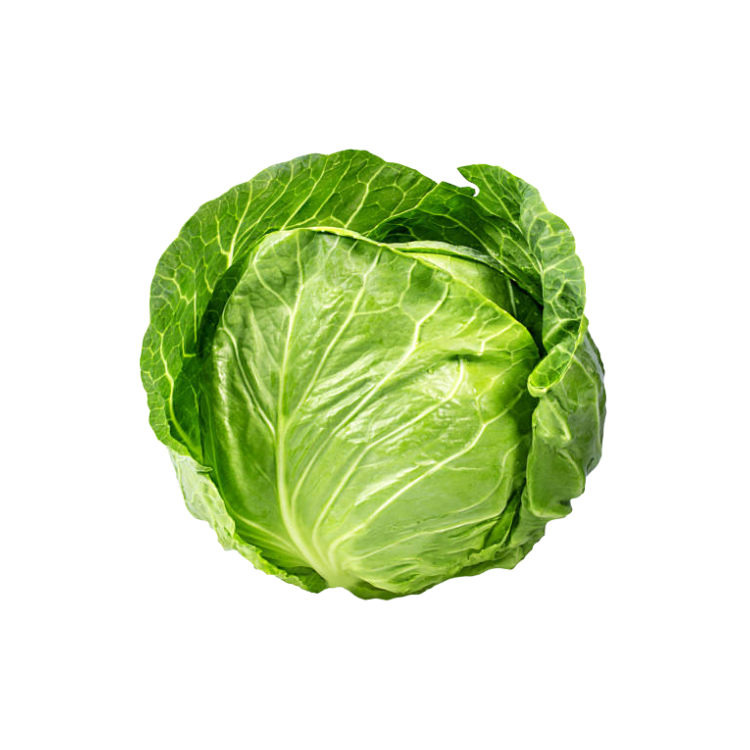 ORGANIC CABBAGE 250G