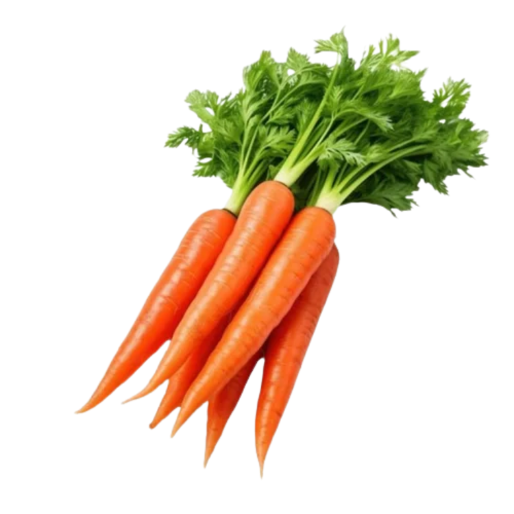 ORGANIC CARROT 250G